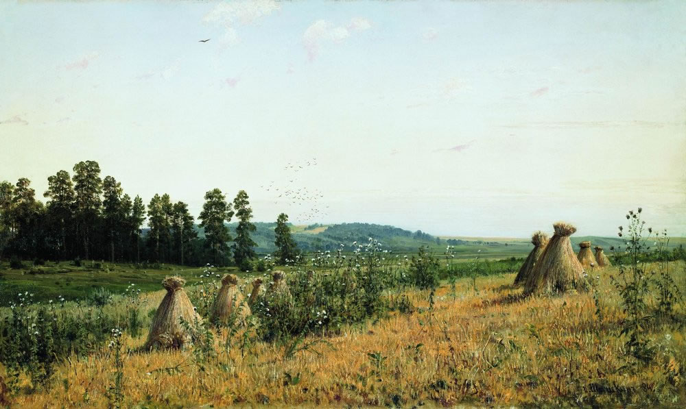 Иван Шишкин. Сжатое поле. Полесский пейзаж. 1884.