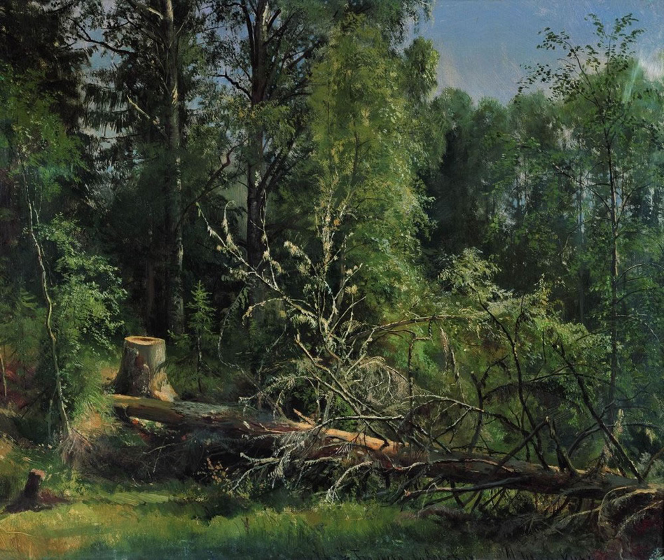 Иван Шишкин. Срубленное дерево. 1875.