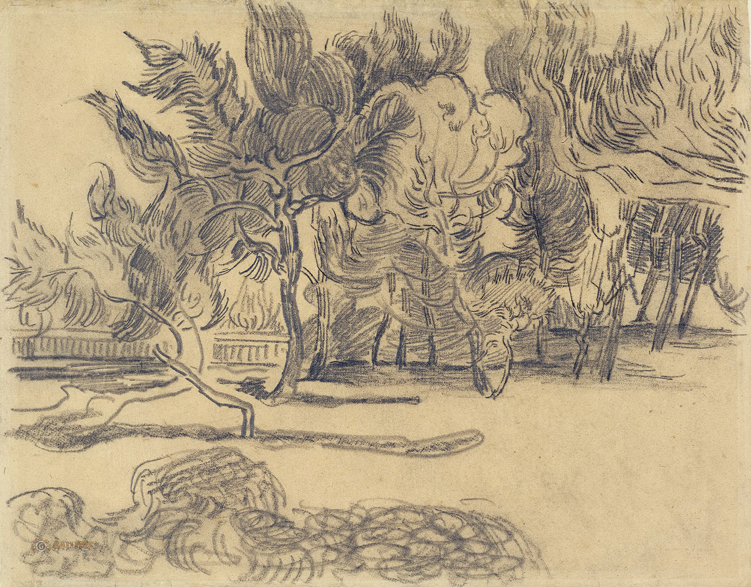 Винсент Ван Гог. "Сосны и стена в саду лечебницы". 1889. Музей Ван Гога, Амстердам.