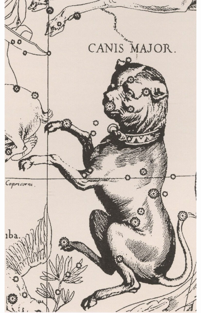 Созвездие Большого Пса. Из "Атласа созвездий" ("Уранографии") Яна Гевелия. 1690.