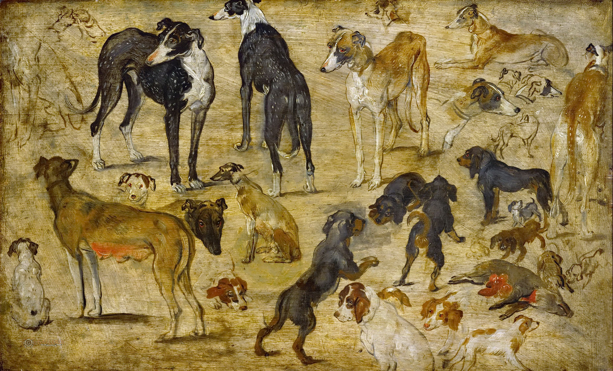 Ян Брейгель Старший. "Эскизы собак". Около 1616. Художественно-исторический музей, Вена.