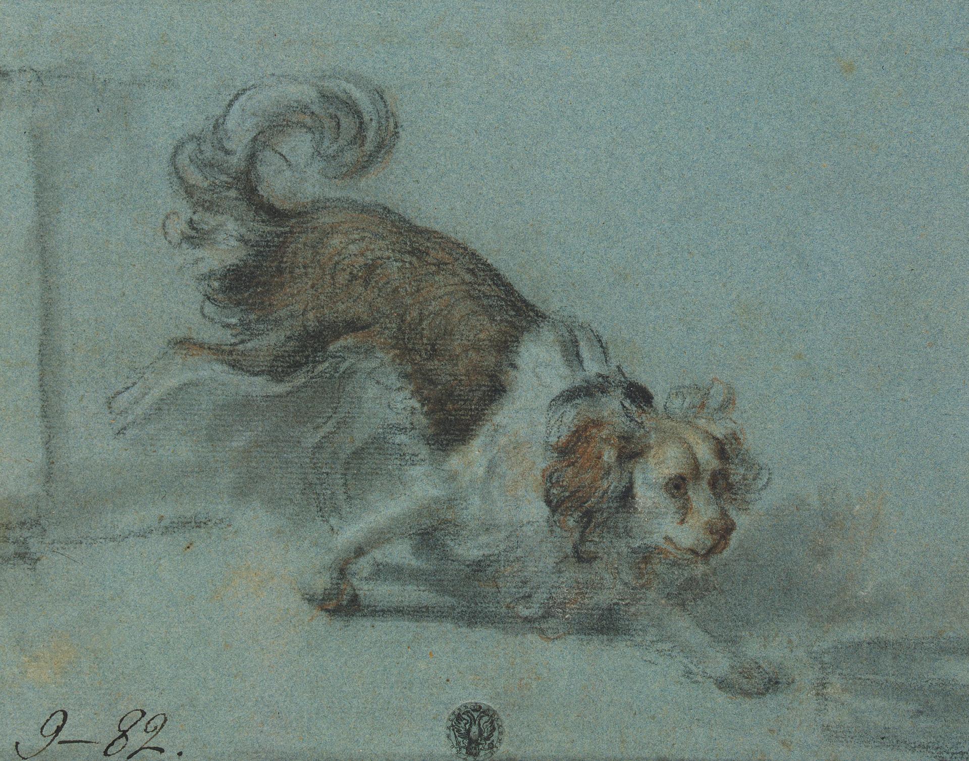 Жан-Батист Грёз. Этюд собачки. 1763. Эрмитаж, Санкт-Петербург.