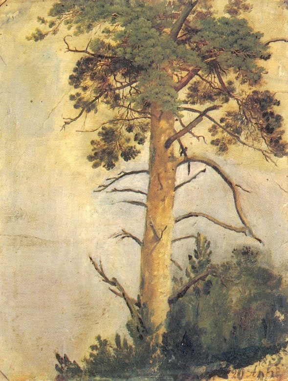 Иван Шишкин. Сосна на скале. 1855.