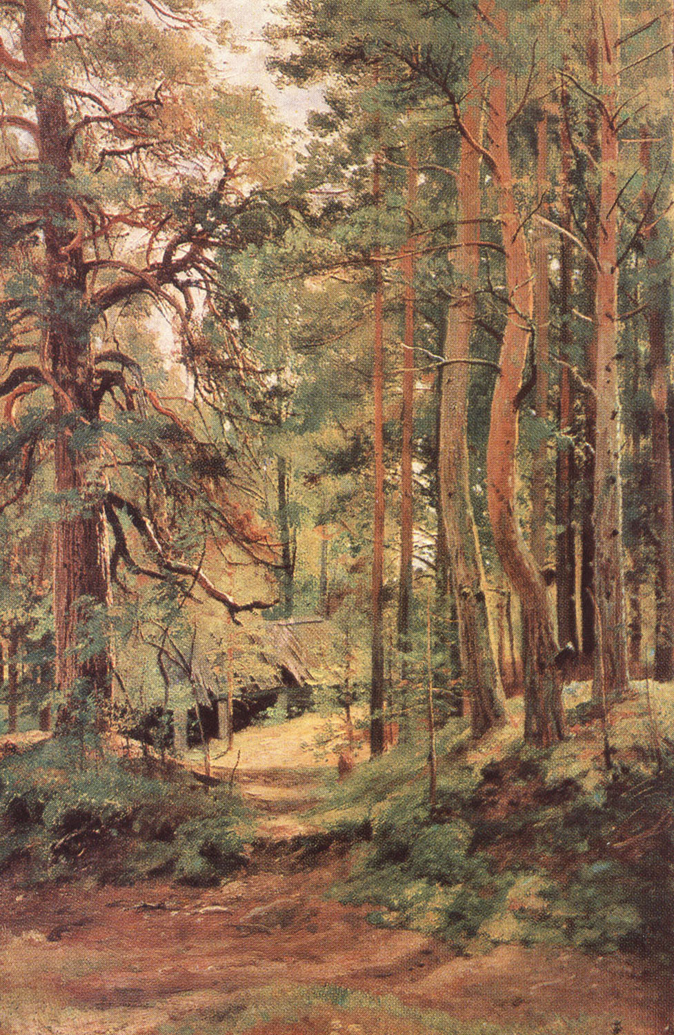 Иван Шишкин. Сосновый лес. Этюд. 1890-е.