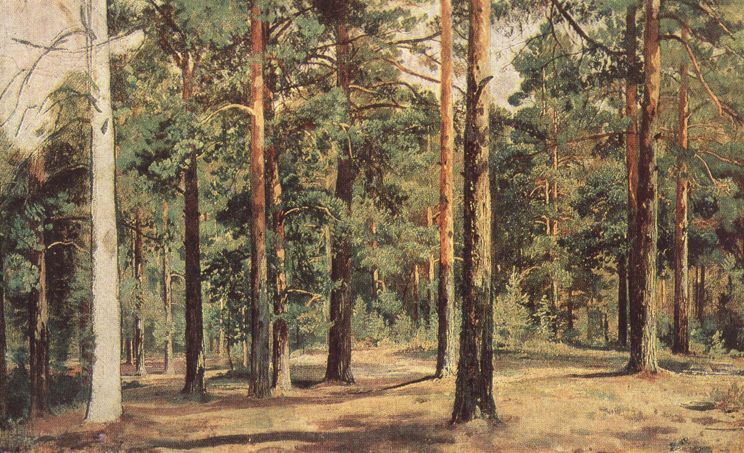 Иван Шишкин. Сосновый лес. Этюд. 1890-е.