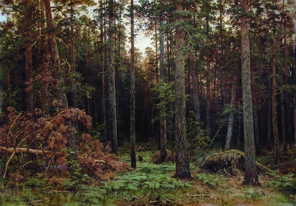 Иван Шишкин. Сосновый лес. 1885.