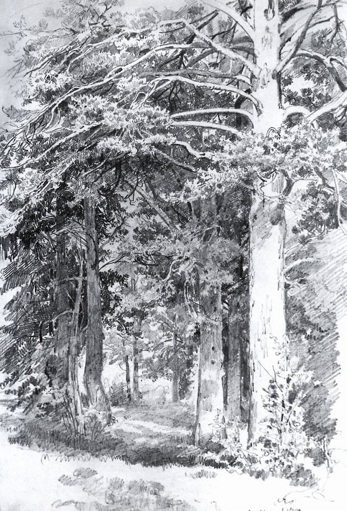 Иван Шишкин. Сосновый лес. 1889.