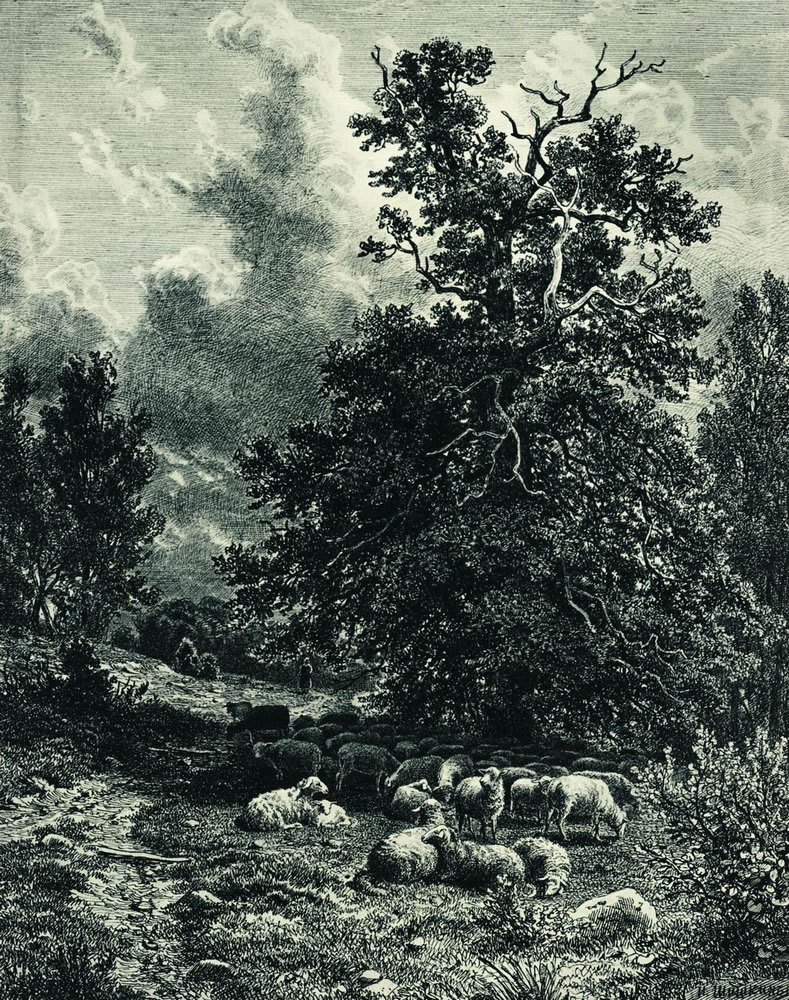Иван Шишкин. Стадо овец на опушке леса. 1860-е.