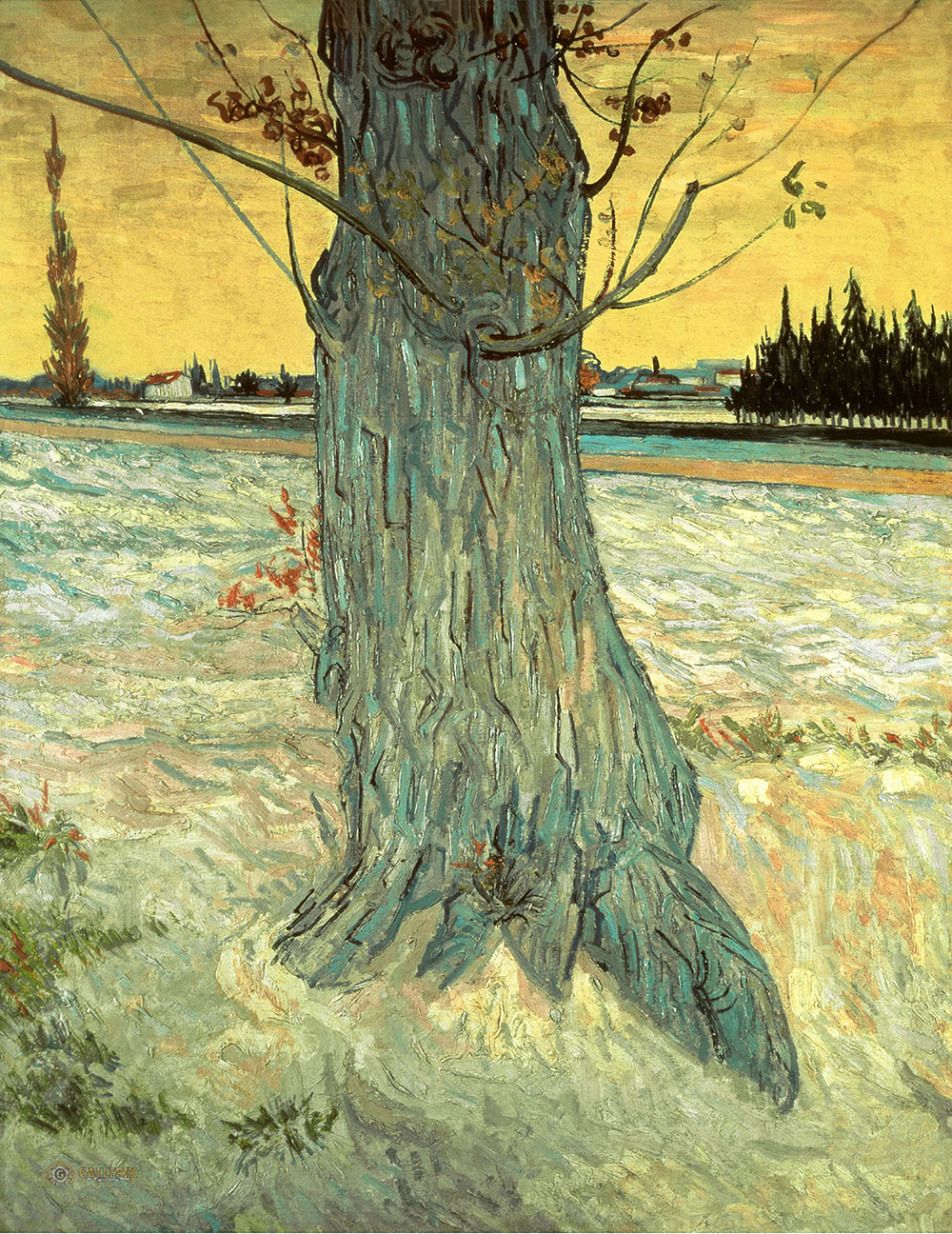Винсент Ван Гог. "Ствол старого тиса". 1888. Частная коллекция.