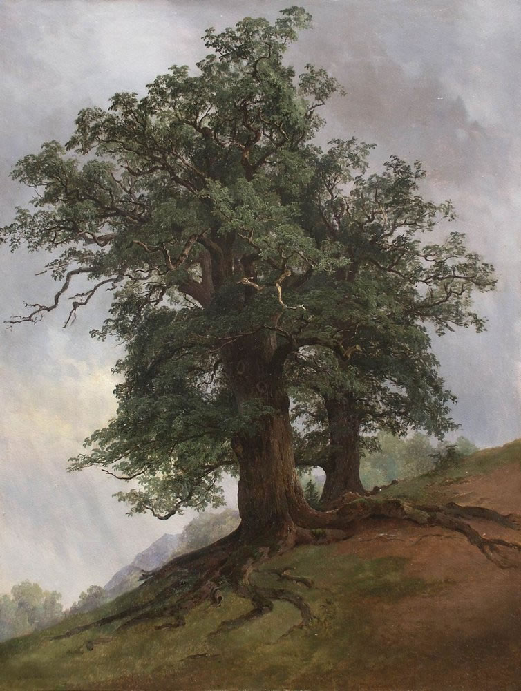 И. Шишкин. Старый дуб. 1866.