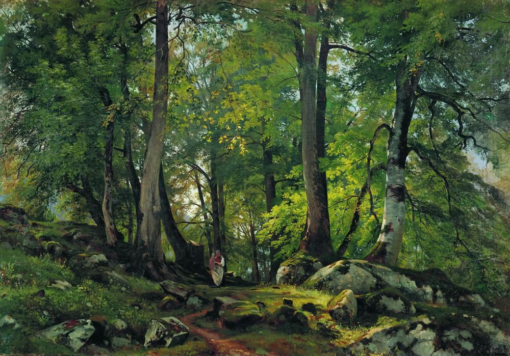 Иван Иванович Шишкин. "Буковый лес в Швейцарии". 1863-1864.