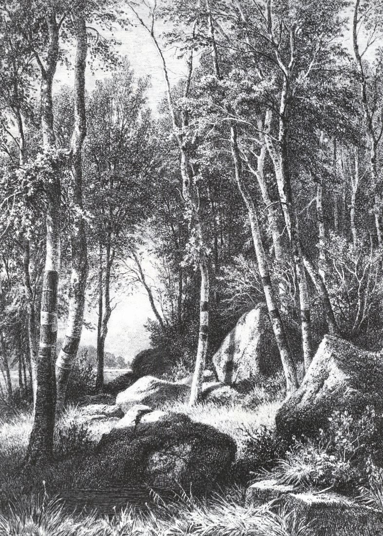 И. Шишкин. На краю берёзовой рощи. Валаам. 1859-1860.