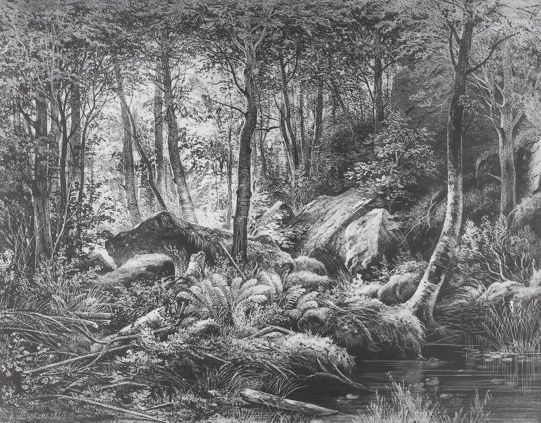 И. Шишкин. Трущоба (Вид на острове Валааме). 1860.