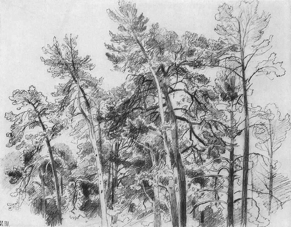 И. Шишкин. Вершины сосен. 1890-е.
